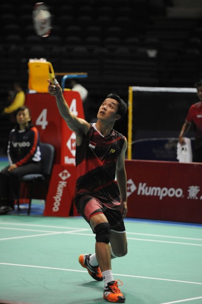 日本羽毛球队轻取韩国羽毛球队，陶菲克惊艳世界的简单介绍