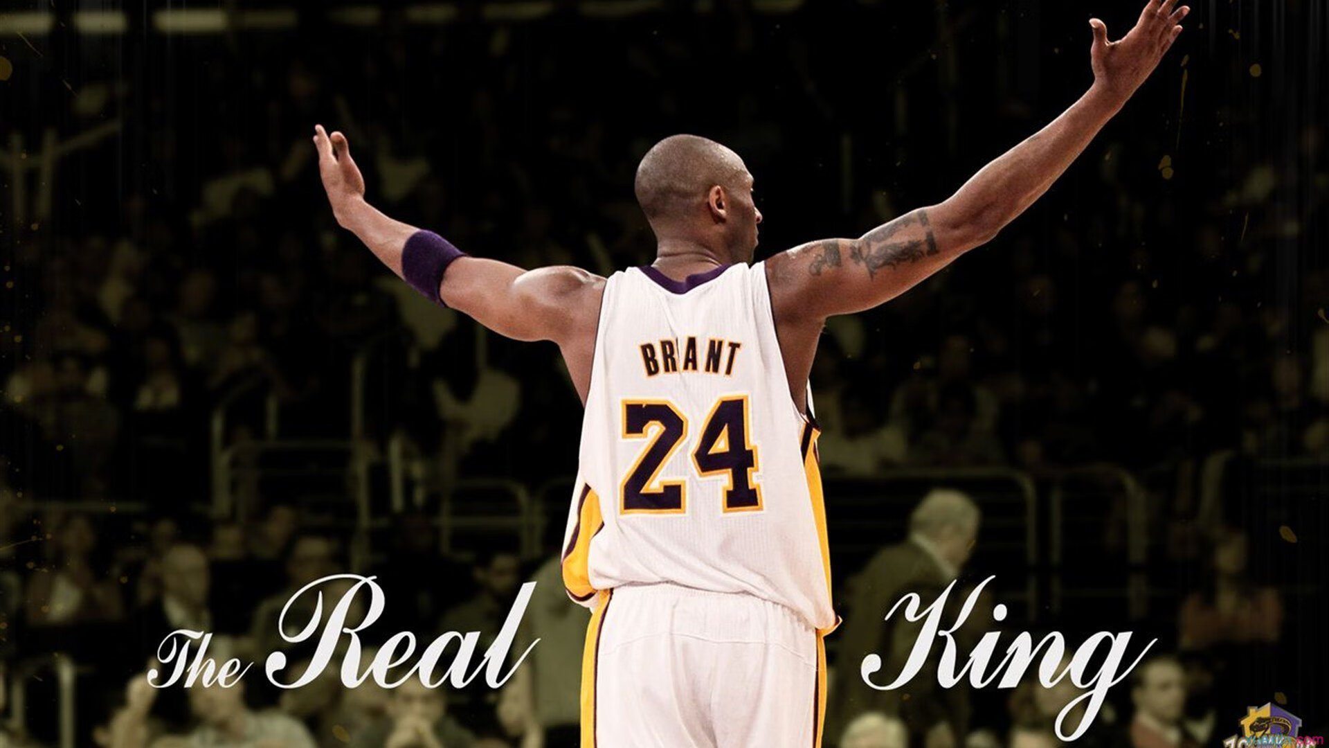 新王当立!爱德华兹用实力证明自己,魔术军团打穿步行者彰显黑马本色